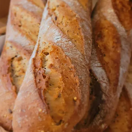 Tennis International