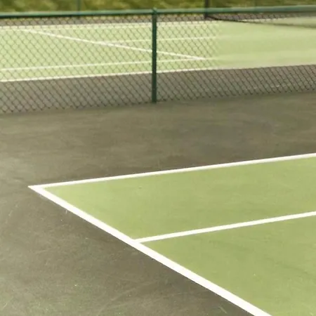 Tennis International 아그