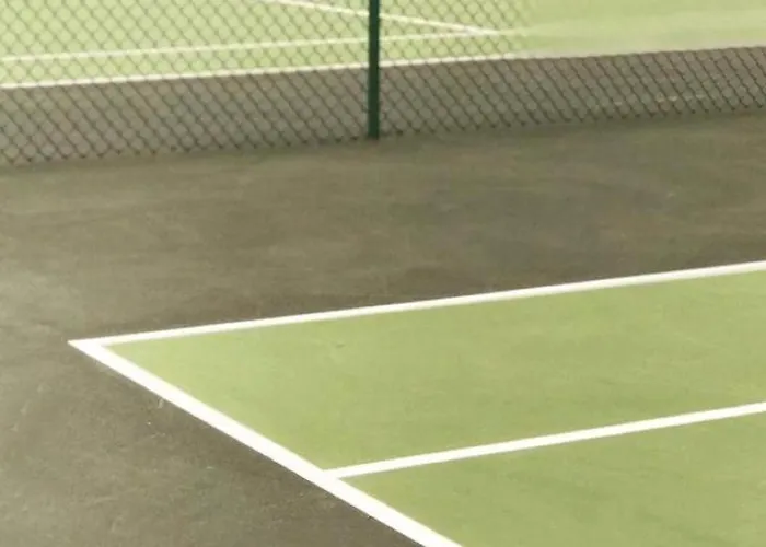 Tennis International 아그